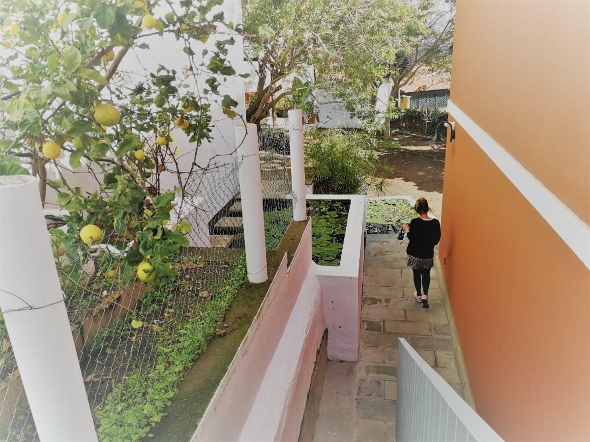 Apartamento Lemmon Tree Santa Brígida Exterior foto